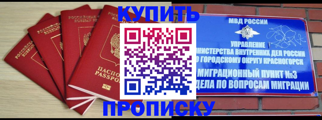 пропишу в квартире в Смоленской области